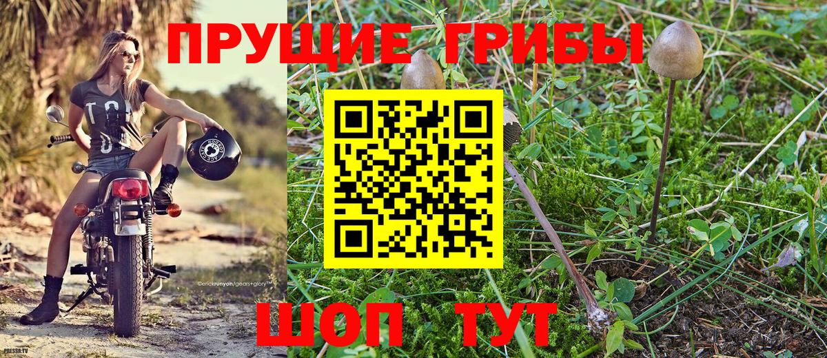 купить  сайты  Галлюциногенные грибы MAGIC MUSHROOMS  Вход с VPN  Псилоцибиновые грибы Magic Shrooms  Моздок 