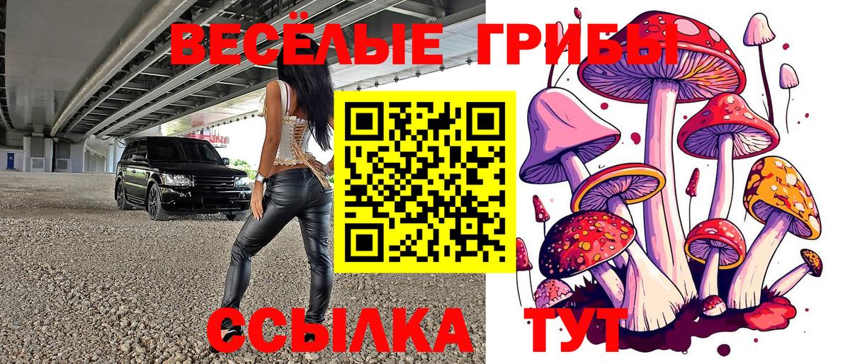 Галлюциногенные грибы Psilocybine cubensis Моздок